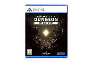 Endless Dungeon game playstation 5 Adventure cover