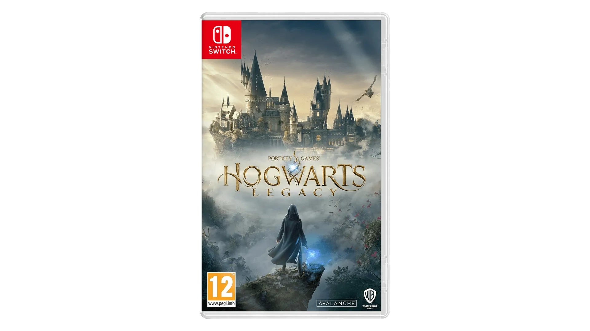 Hogwarts Legacy Nintendo switch game Action,Adventure cover
