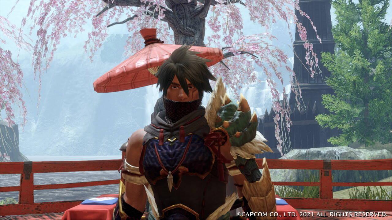 Monster Hunter: Rise Nintendo switch game Action images