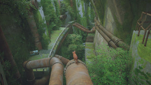 Stray Nintendo switch game Action Adventure images