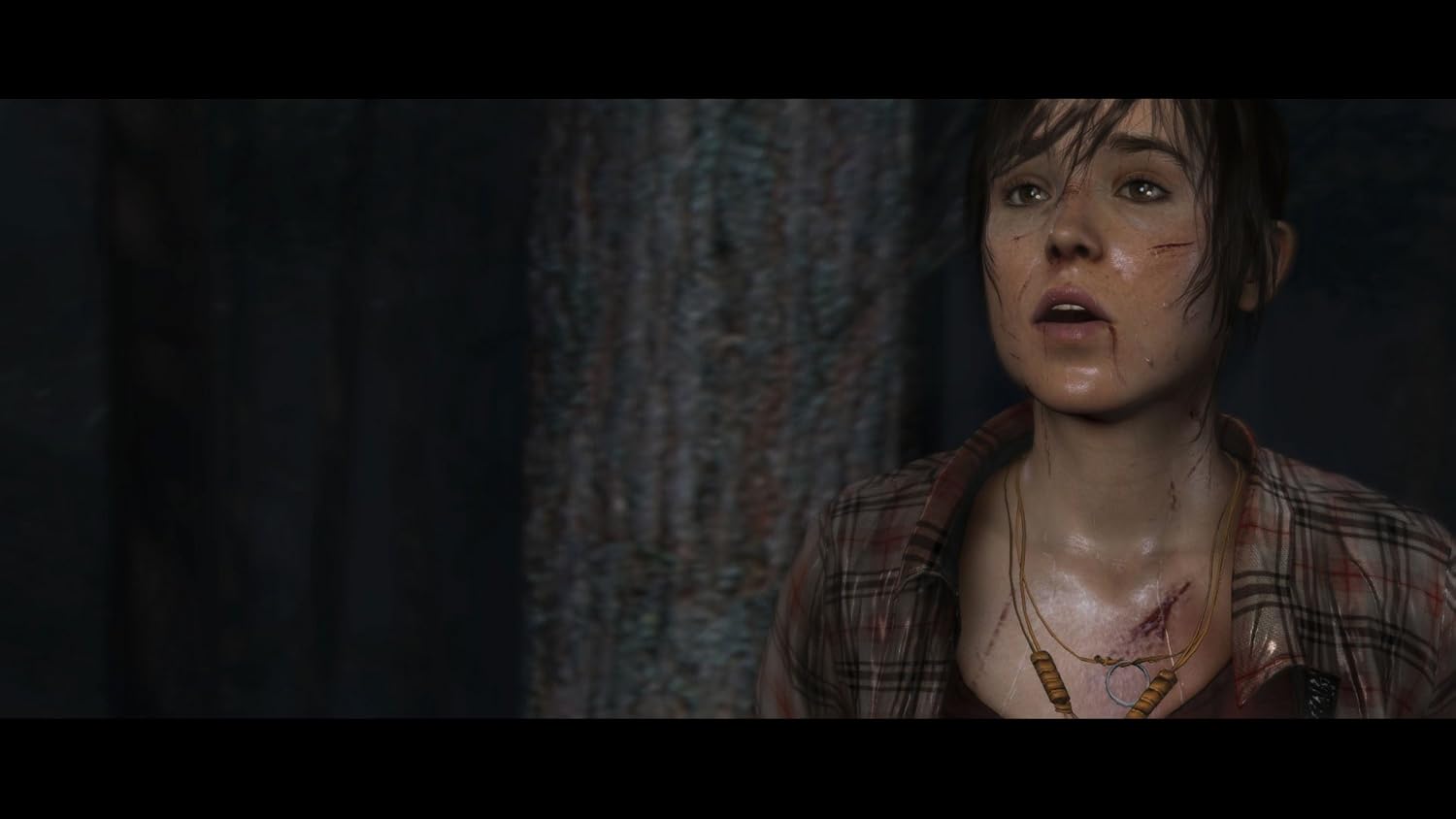 The Heavy Rain And Beyond Two Souls Collection - GameBeatz