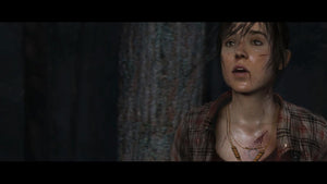The Heavy Rain And Beyond Two Souls Collection - GameBeatz