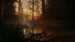 Alan Wake 2 game playstation 5 Adventure images