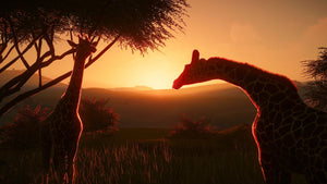 Planet Zoo video game playstation 5 Strategy images