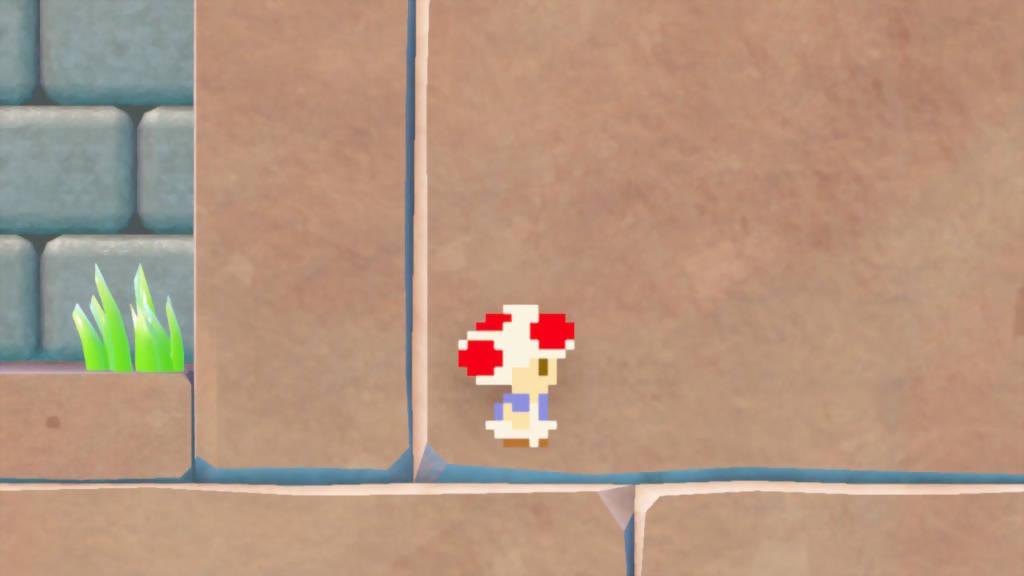Captain Toad: Treasure Tracker Nintendo switch game Action,Adventure,Puzzle images