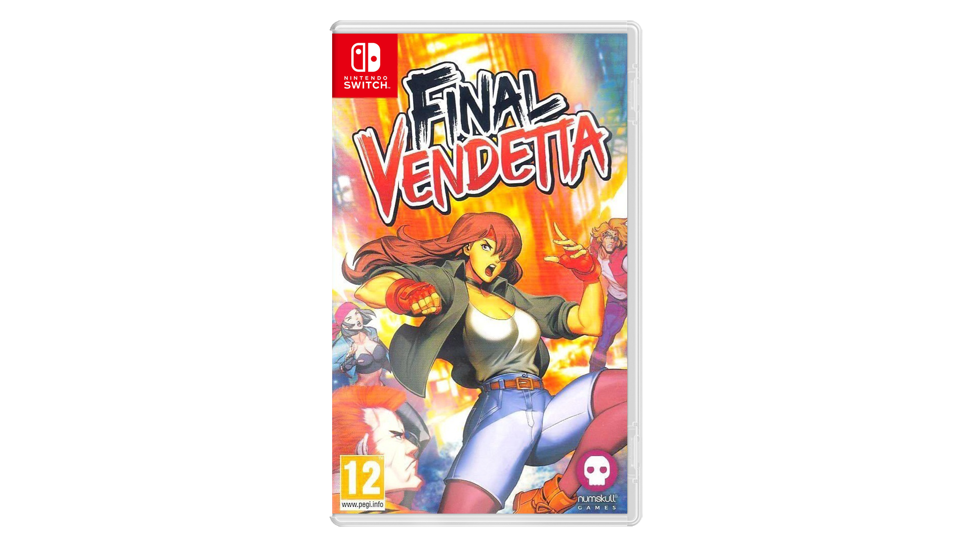 Final Vendetta Nintendo switch game Action cover