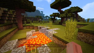 Minecraft Nintendo switch game Action Simulation images