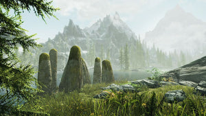 The Elder Scrolls V: Skyrim Nintendo switch game Action Role playing images