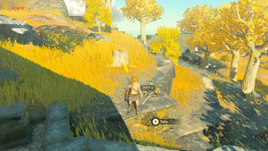 The Legend Of Zelda：Tears Of The Kingdom Nintendo switch game Action Adventure images