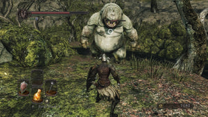 Dark Souls II game playstation 5 Adventure images