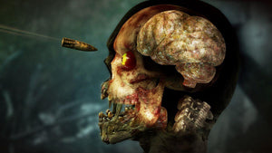 Zombie Army 4: Dead War playstation 4 game Arcade, Shooter, Action images