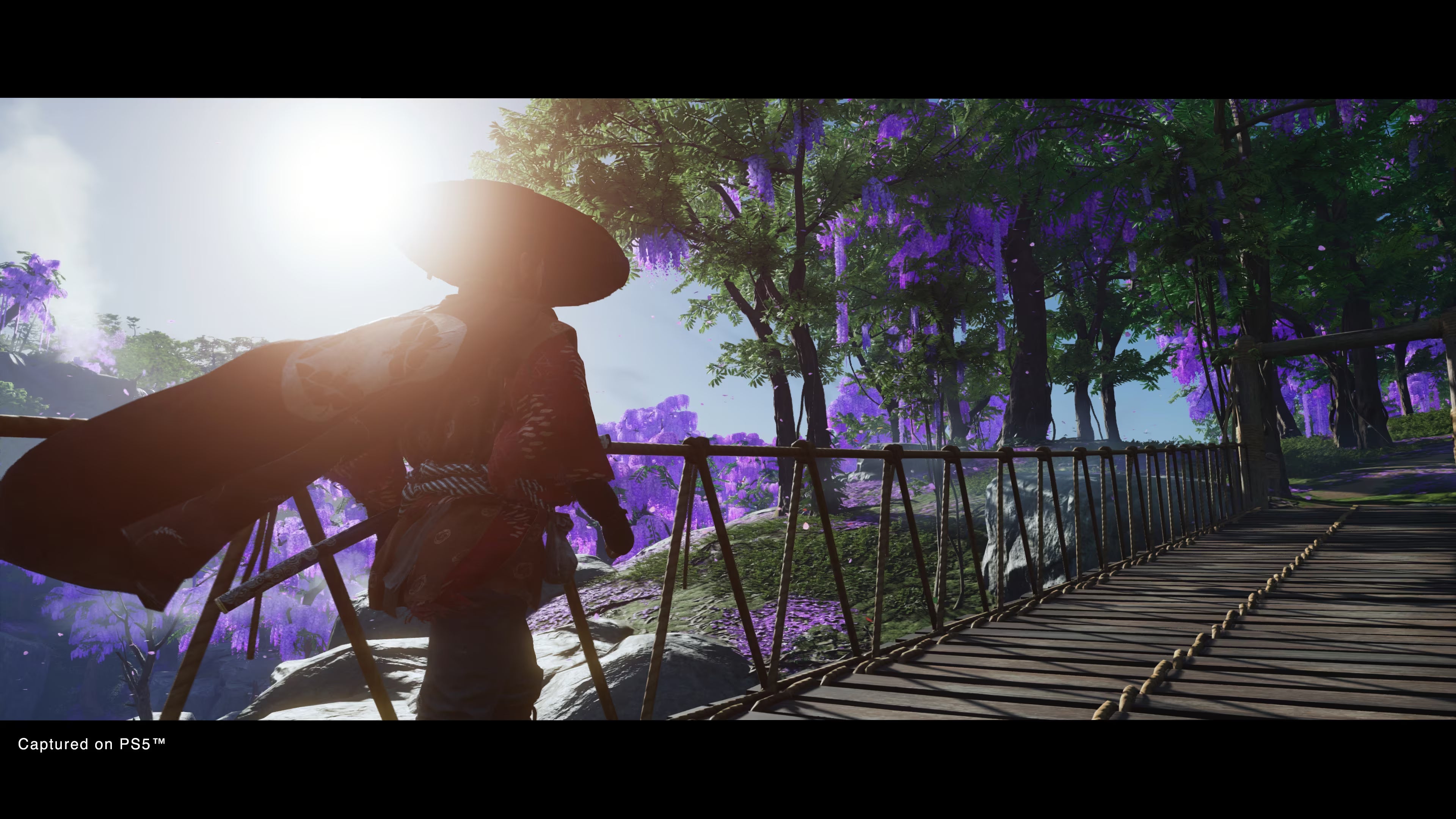 Ghost of Tsushima Directors Cut - Playstation 5