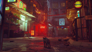 Stray game playstation 5 Adventure images