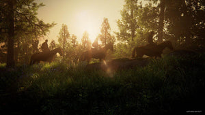 The Last of Us Part I Remastered  game playstation 5 Action images