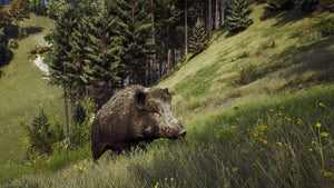 Way of The Hunter game playstation 5 Shooter images