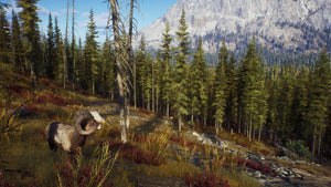 Way of The Hunter game playstation 5 Shooter images